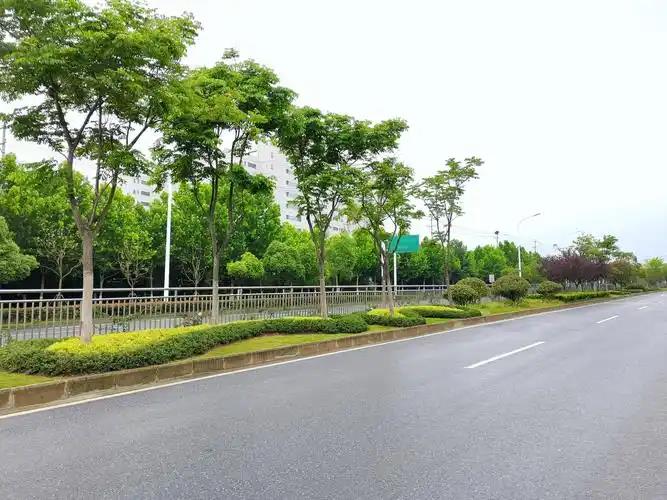 仪征市道路绿化提升的思考