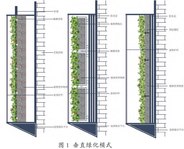 墙面绿化在深圳市改造建设中的应用