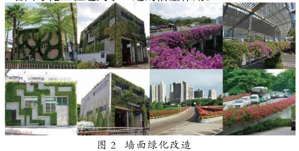深圳垃圾站墙面绿化
