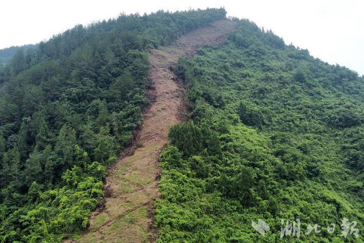 子午岭华池林区林火阻隔带建设中存在的问题