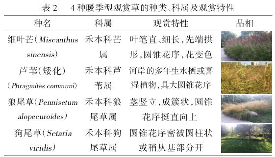 4种暖季型观赏草在太原园林中的秋景应用分析