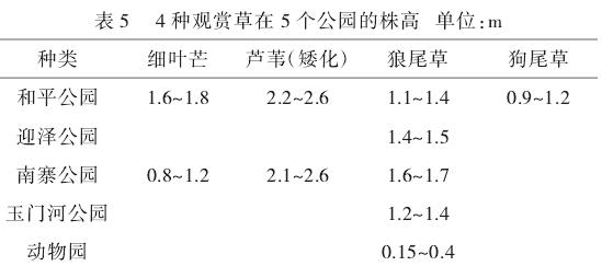 种暖季型观赏草在太原园林中的秋景应用分析