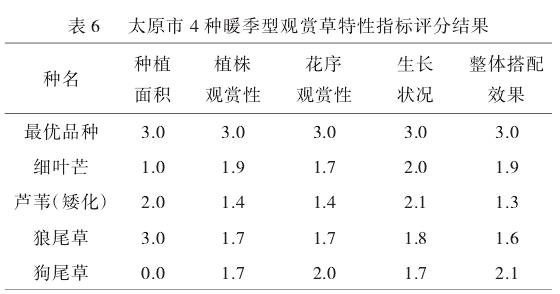 观赏草特性指标综合评价结果与分析