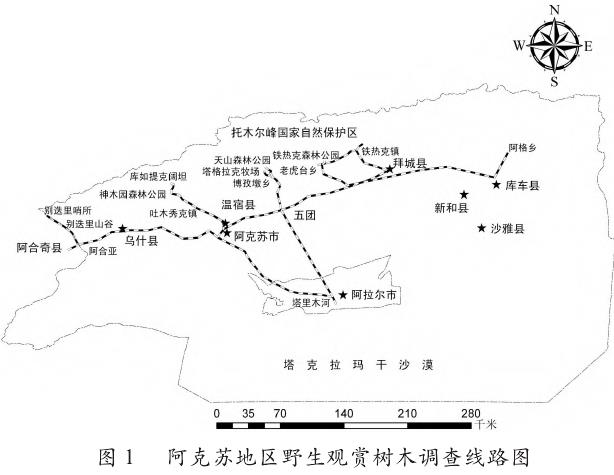 阿克苏地区野生观赏树木资源调查初报