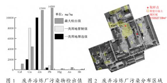 安宁河流域废弃冶炼厂重金属污染地植物群落特征研究