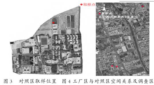 安宁河流域废弃冶炼厂重金属污染地植物群落特征研究