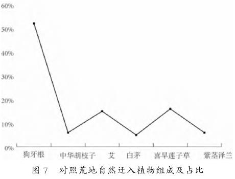 安宁河流域废弃冶炼厂重金属污染地植物群落特征研究