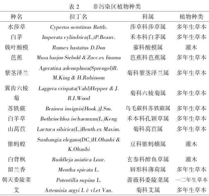 安宁河流域废弃冶炼厂重金属污染地植物群落特征研究