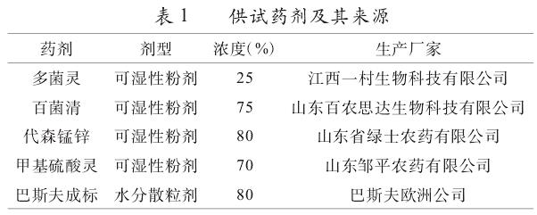 不同药剂对月季枯枝病的治疗作用研究