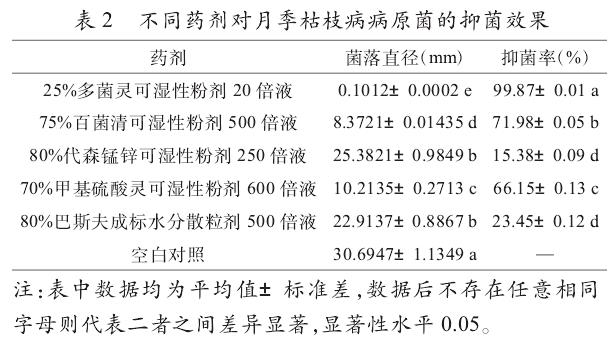 不同药剂对月季枯枝病病原菌的抑菌试验结果