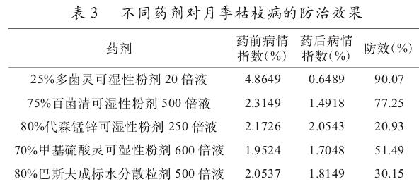 不同药剂对月季枯枝病的防效试验结果