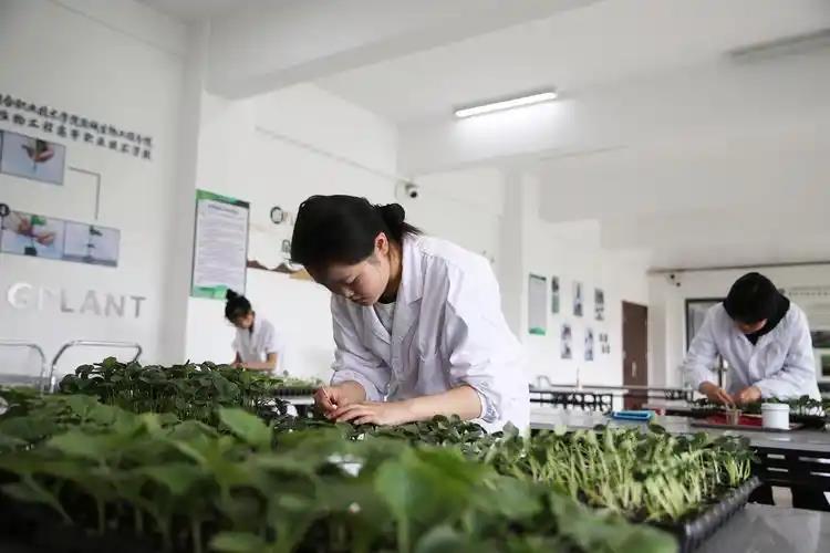 用人企业视角看园艺专业课程改革的具体措施