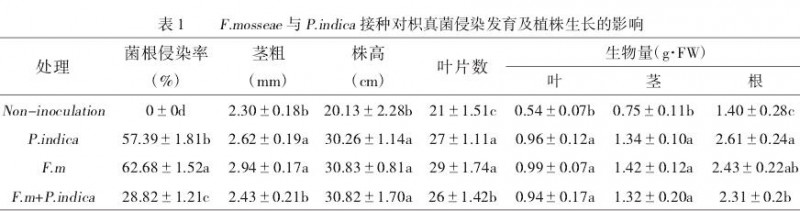 丛枝菌根真菌与印度梨形孢对枳生长与养分的影响