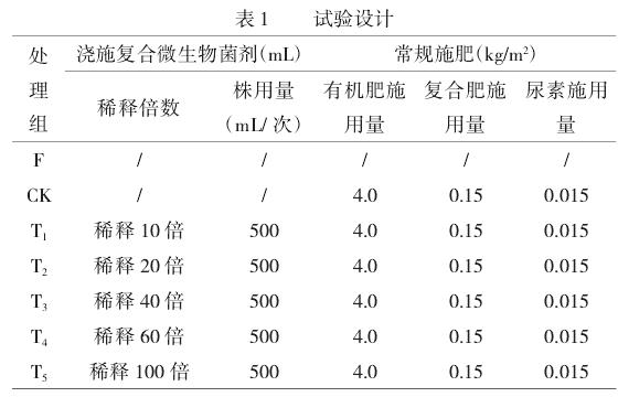 复合微生物菌剂对崇明水仙农艺性状的影响