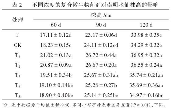 不同处理对崇明水仙株高的影响