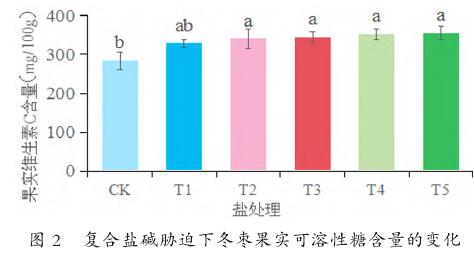 复合盐碱胁迫对冬枣果实内在指标的影响
