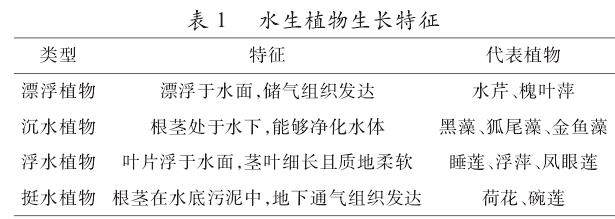 花卉植物造景手法在园林绿化设计中的应用