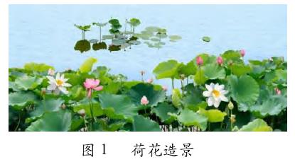 花卉植物造景手法在园林绿化设计中的应用