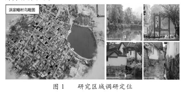 研究区域与材料取样