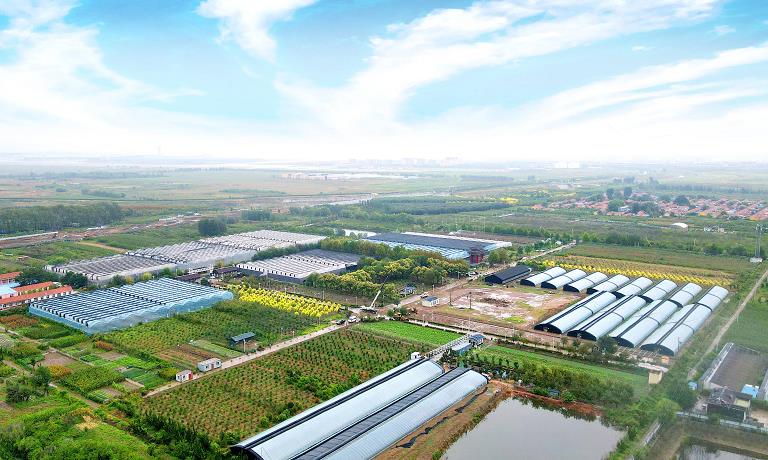 基于PDCA循环的甘肃现代高效农业示范园区提升策略