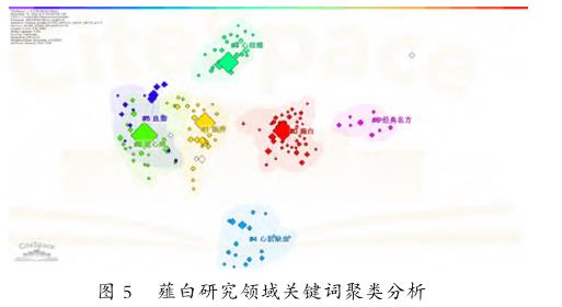 基于文献计量学的我国薤白研究热点及趋势可视化分析