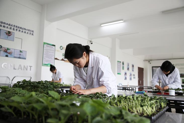 园艺专业人才培养实践平台的保障机制