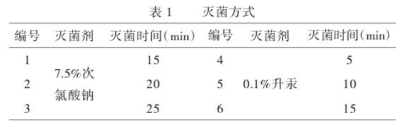 米老排子叶节再生体系的建立
