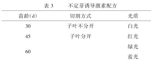 米老排子叶节再生体系的建立