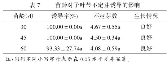 切割方式和光质等培养条件对不定芽诱导的影响