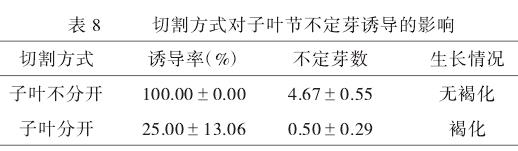 米老排子叶节再生体系的建立
