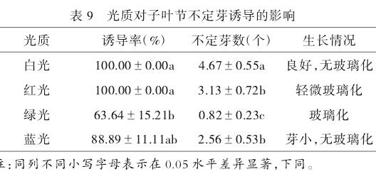 米老排子叶节再生体系的建立