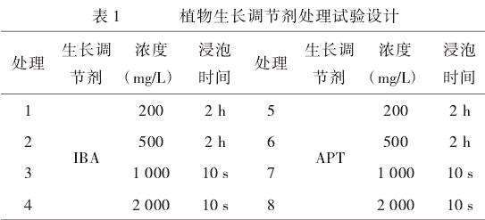 表1：不同植物生长调节剂处理萌芽试验的设计表。列出了8个处理组，包含IBA和APT的不同浓度和浸泡时间（5h浸泡和10s速蘸）。