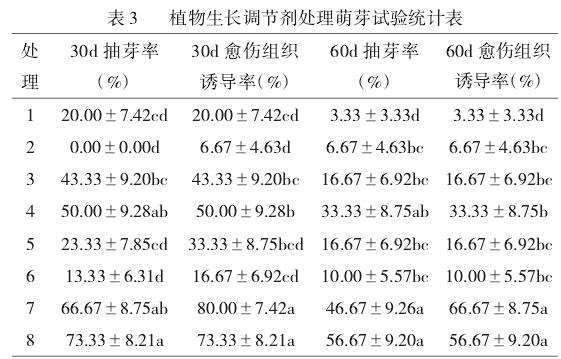 表3：扦插30天后不同植物生长调节剂处理对紫花风铃木抽芽率、愈伤组织诱导率和生根率的影响。结果显示，速蘸处理（处理3, 4, 7, 8）在抽芽和愈伤组织诱导方面效果显著优于浸泡处理。