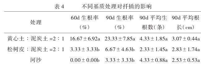 表4：扦插60天后不同植物生长调节剂处理对紫花风铃木萌芽、愈伤组织诱导率和生根率的统计表。显示处理7和8在萌芽和愈伤组织诱导率上仍显著领先，处理4的生根率达到13.3%。
