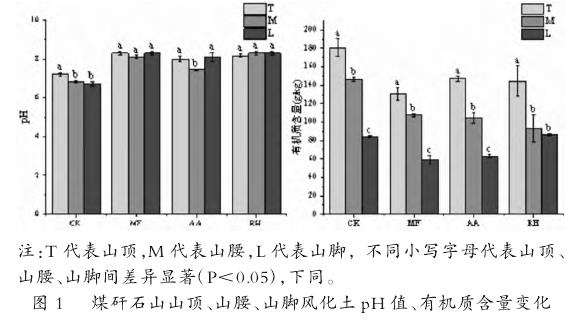 图1：喀斯特煤矸石山风化土pH值和有机质含量在山顶、山腰、山脚处的裸地和不同优势植物根际（五节芒、艾蒿、戟叶酸模）下的变化特征。数据显示，裸地风化土pH值自山顶至山脚逐渐下降，而有机质含量则在所有类型风化土中均表现为山顶最高、山脚最低。