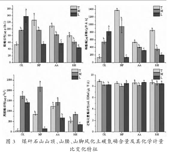 图3：喀斯特煤矸石山风化土脲酶（URE）、磷酸酶（PHO）、蔗糖酶（SST）和过氧化氢酶（CAT）活性在山顶、山腰、山脚处的裸地和不同优势植物根际下的变化特征。数据显示，裸地风化土URE和PHO活性自山顶至山脚逐渐上升，而植物根际则逐渐下降；SST活性呈先上升后下降趋势；CAT活性无显著差异。