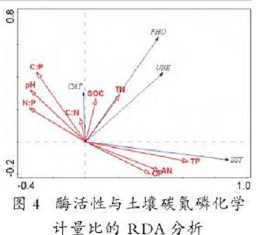 图4：风化土酶活性与环境因子的冗余分析（RDA）图，展示了脲酶（URE）、过氧化氢酶（CAT）、蔗糖酶（SST）和磷酸酶（PHO）活性与SOC、TN、TP、C/P等理化因子之间的关系方向和强度。
