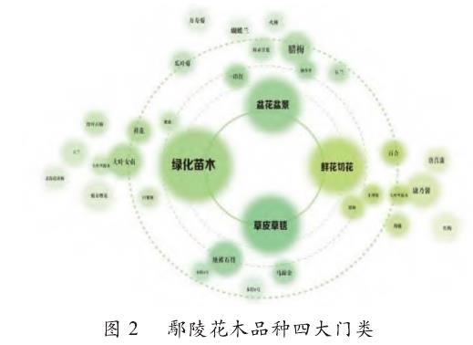 图2：鄢陵花木文化元素分析与提取方法示意图，展示了从花木分类到图形提取、颜色提取和文字提取的流程。