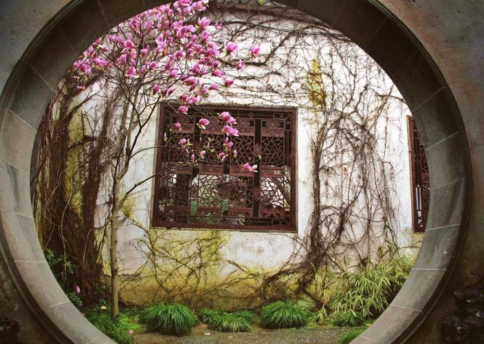 苏州拙政园岩石景观实拍，展现了传统园林中山石与建筑的和谐布局