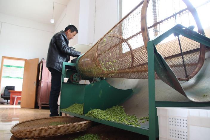 山区茶叶机械化发展应对措施