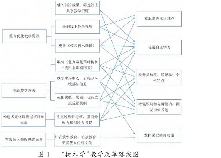 新农科背景下树木学课程教学改革整体路线图，包括教学资源整合、教学方法创新、课程思政、实践教学等关键模块