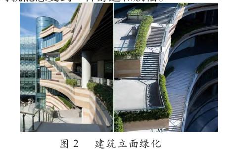 建筑立面绿化