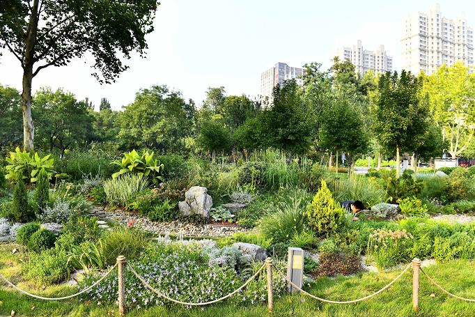 历史文脉在风景园林规划设计中的经典案例示意图