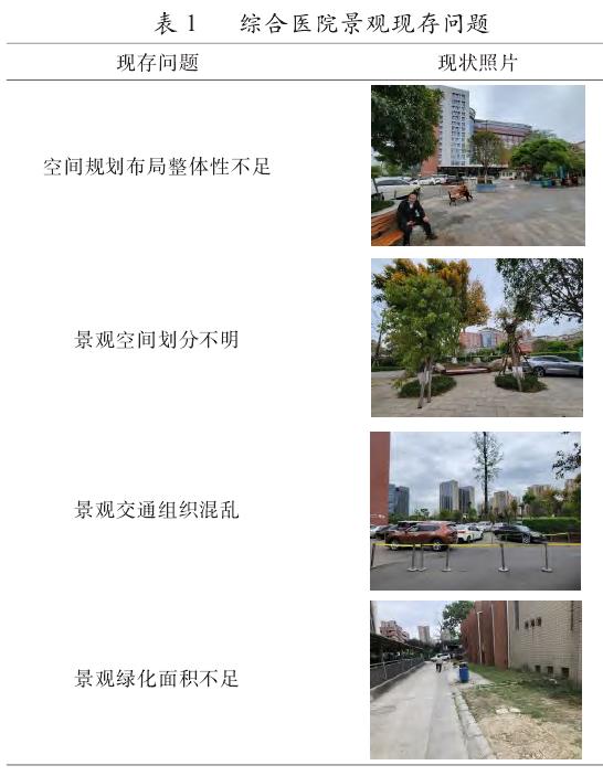 综合医院景观设计现存问题汇总表