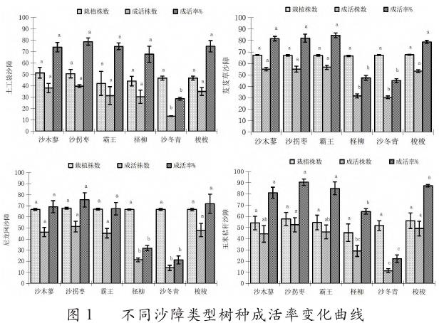 不同沙障类型中优势树种成活率对比图