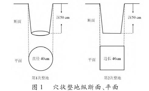 穴状整地示意图