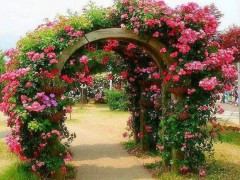 如何通过园林小品讲好城市故事？叙事功能与艺术设计解析