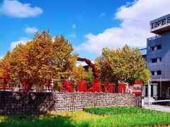 后工业景观再野化场景的3个景观偏好