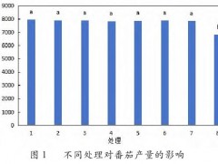 微生物菌剂替代化肥对日光温室番茄产量和品质的影响