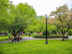 北美青年友好公园评价：7种方法与信效度分析